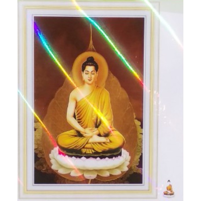 TRANH THÊU CHỮ THẬP (THÊU TOÀN BỘ) PHẶT THÍCH CA DV6456 , PC203 (TRANH TỰ THÊU) KT:56X66CM