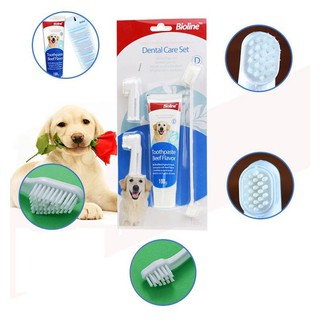 Bộ Đánh Răng Kem Đánh Răng Bàn Chải Đánh Răng Chó Mèo Dental Care Set Bioline 100g MÙI NGẪU  NHIÊN