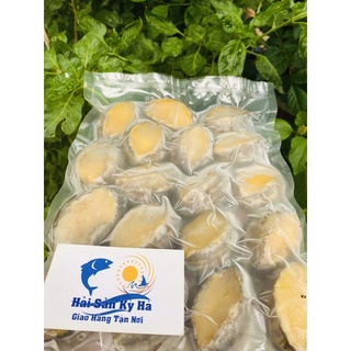 (Giá Sỉ) Bào Ngư Size 18 Con - Q12