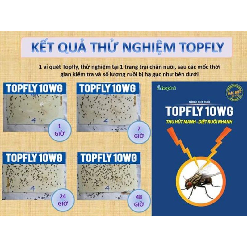 Combo 2 gói thuốc diệt ruồi Topfly 20g