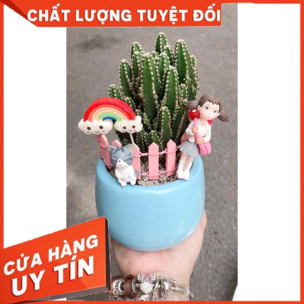 Chậu thanh sơn tiểu cảnh Nhiều Người Mua