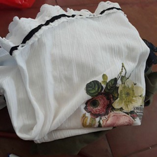 Áo hàng si