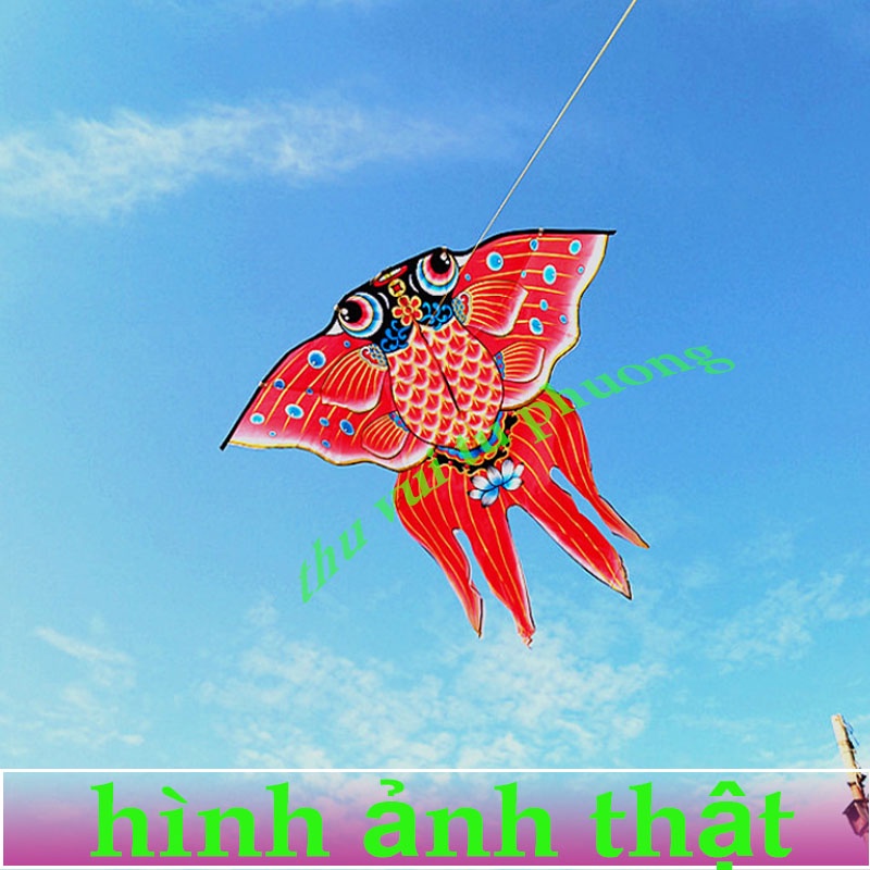 DIỀU - DIỀU CÁ VÀNG