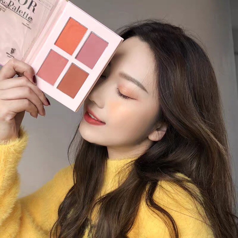 Bảng má hồng phấn khối hot trend holdlive