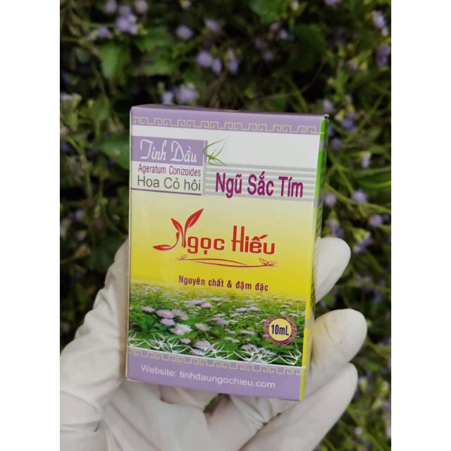 Tinh dầu hoa Ngũ sắc - Ngọc Hiếu 10ml