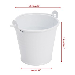 Chậu hoa mini bằng kim loại