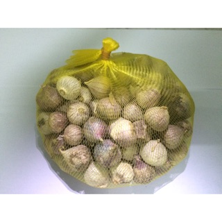 1kg Tỏi cô đơn tươi 1 nhánh