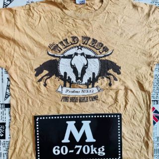 Combo 6 Áo Thun Mỹ - tee mỹ
