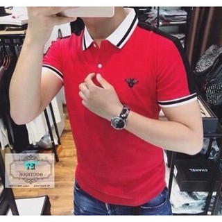 Áo Thun Nam thun coton loại 1