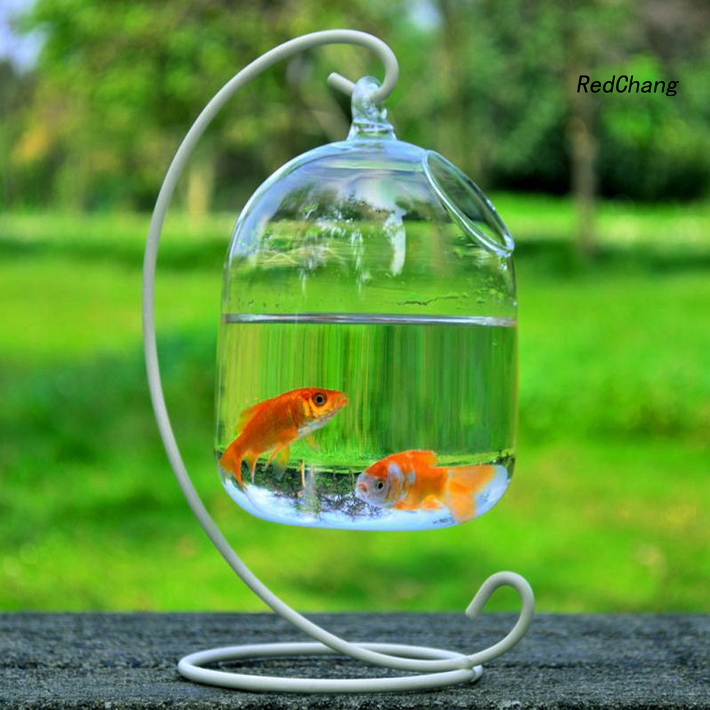 Bình đựng cá bằng thủy tinh trong suốt treo tường nhà trang trí sáng tạo