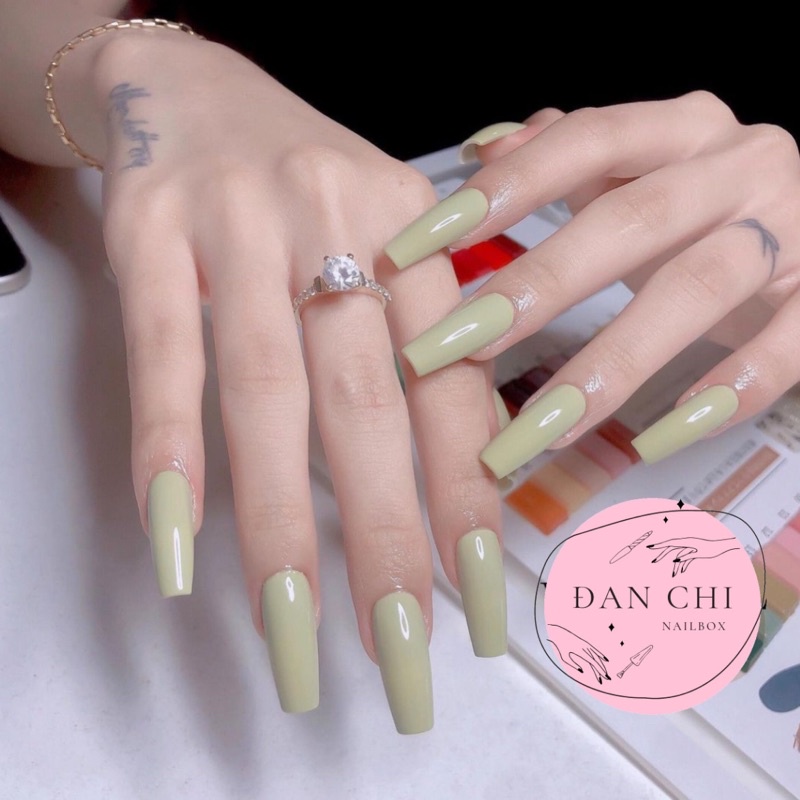 Nailbox Móng Úp Thiết Sẵn Mẫu Xanh Sơn Trơn