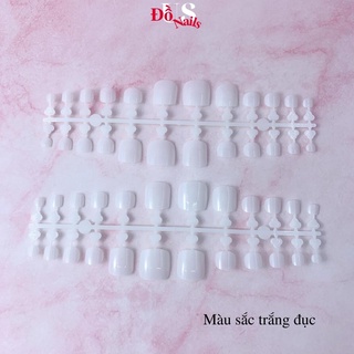 Móng Úp Chân HSM Móng Trong Móng Đục