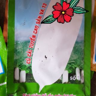 Hạt giống cải củ trắng (cải củ ăn củ) 20g