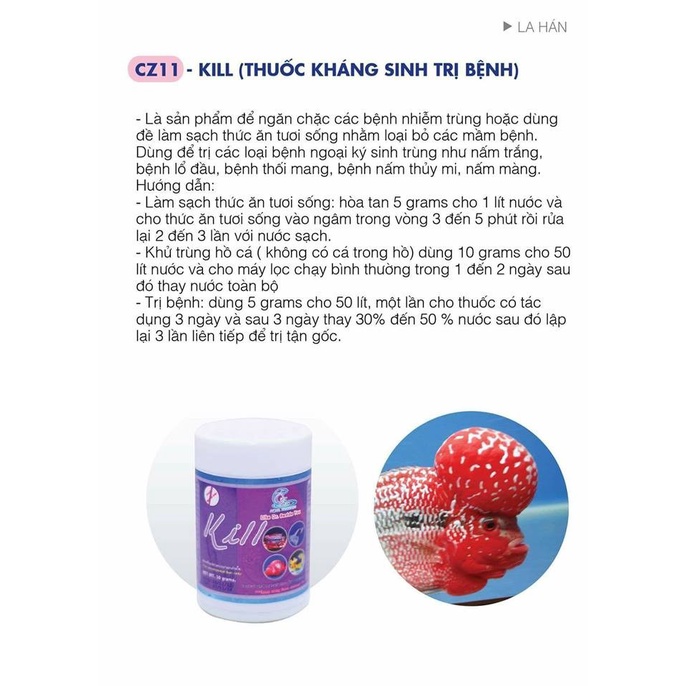 CZ11 KILL - KS Hỗ Trợ Xử Lý Các Vấn Đề của Cá Cảnh