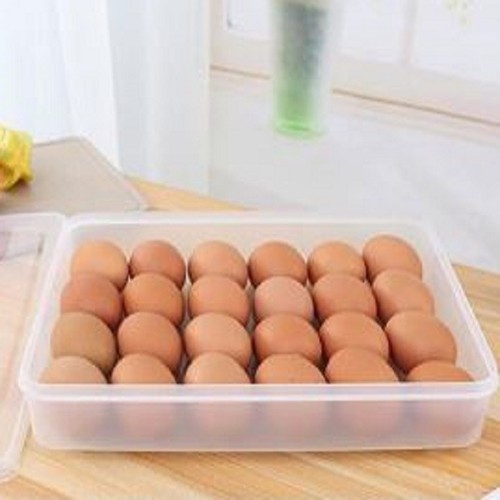 Khay đựng trứng có nắp đậy | BigBuy360 - bigbuy360.vn
