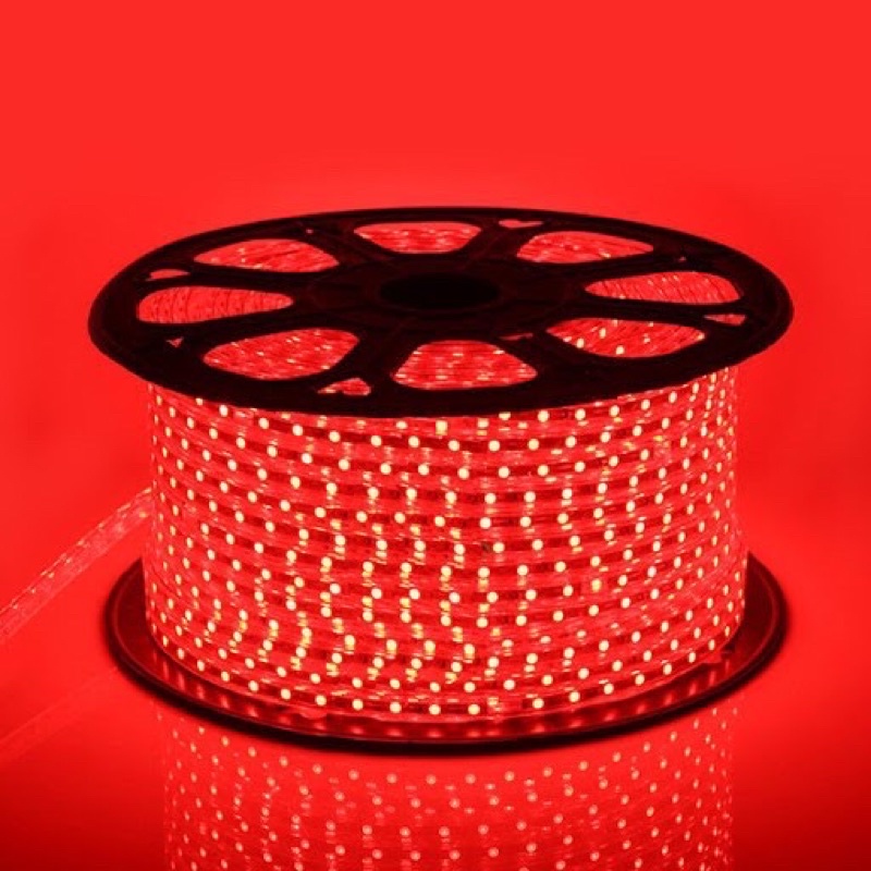 Đèn nháy led cuộn 3014 100m ngoài trời(tặng 1 nguồn)