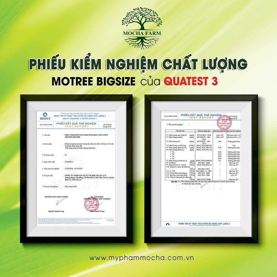 KẸO MẦM ĐẬU NÀNH MOCHA - TẶNG TÚI GIẤY MOCHA VÀ PHIẾU BẢO HÀNH | BigBuy360 - bigbuy360.vn