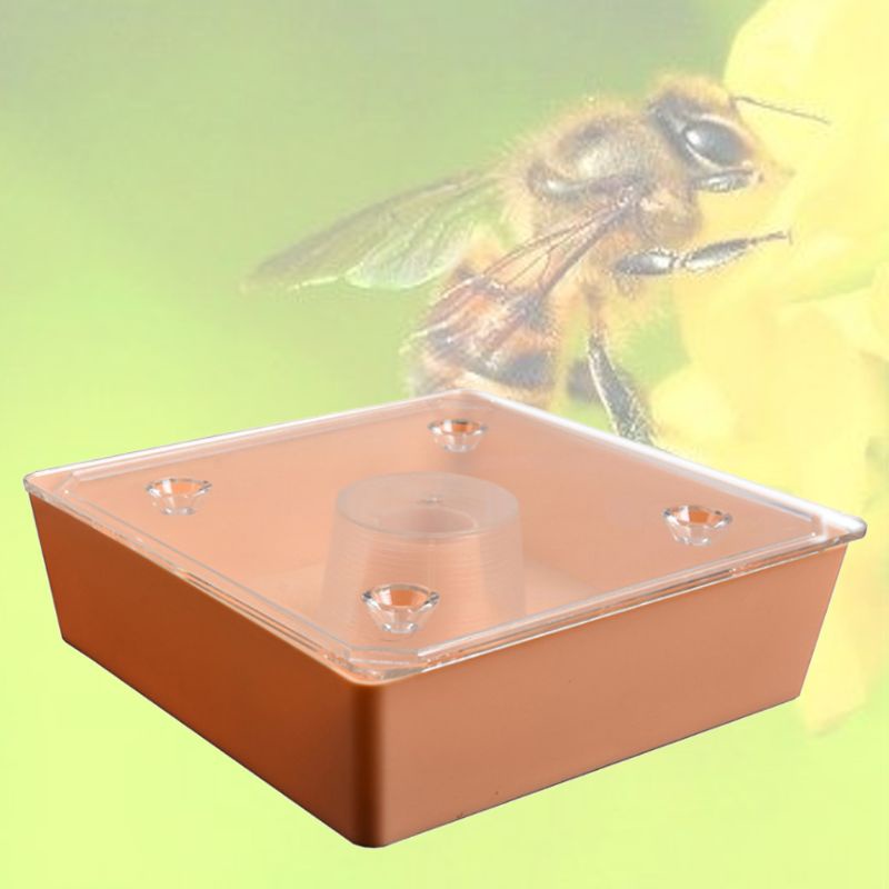 Dụng Cụ Cho Ong Ăn Hình Vuông Có Nắp Trong Suốt