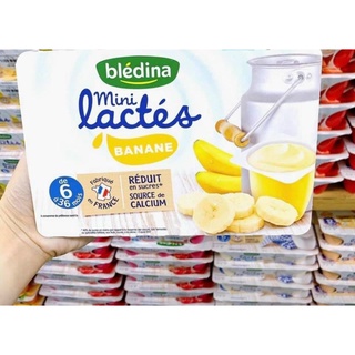 SỮA CHUA BLEDINA ĐỦ VỊ PHÁP