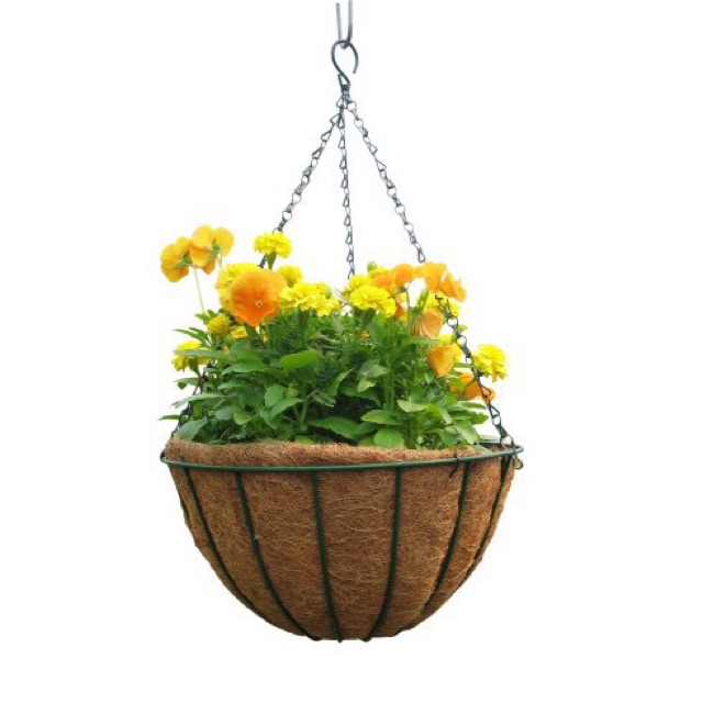 Bán Chậu Treo Xơ Dừa Khung Sắt Đặc - Trồng Cây treo Fi30 - Coconut Fiber Hanging Pots (30x30) chất lượng.