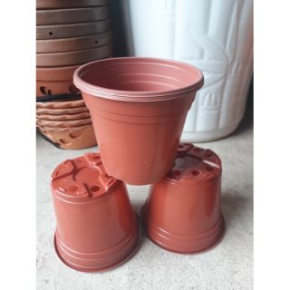 Chậu ươm cây đường kính 12cm