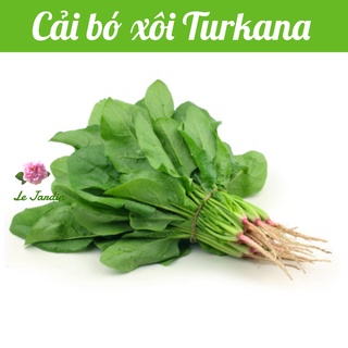 Hạt giống cải bó xôi chịu nhiệt Turkana gói 5gr - DỄ TRỒNG