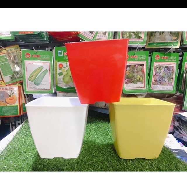 Set 3 chậu vuông kích thước 16x15 cm