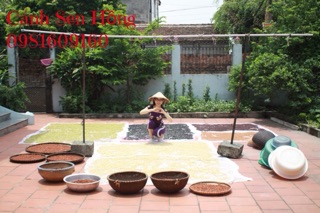 BỘT ĐẬU MẦM HỮU CƠ
