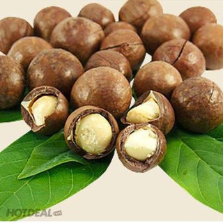 Hạt Macca Mỹ