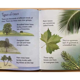 Bộ nhập -  Beginners Nature Collection (10 Books)