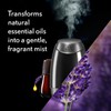 [HCM] Máy xông tinh dầu siêu âm không pha nước AirWick Essential Mist, Lavender & Almond blossom USA