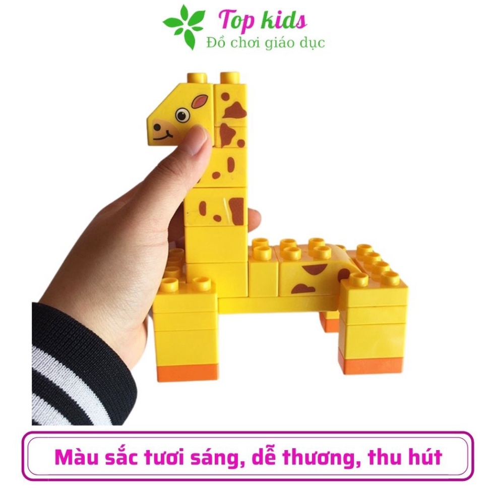 Lắp ráp mô hình lego đồ chơi trí tuệ Duplo FEE Thế Giới Thú Cưng Đáng Yêu 102 Chi Tiết Siêu To TOPKIDS