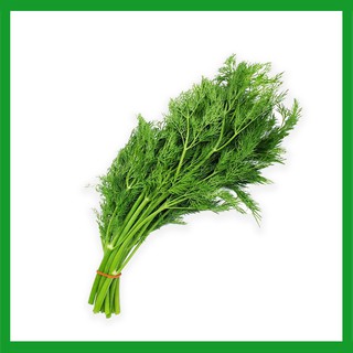 Hạt giống Thì Là