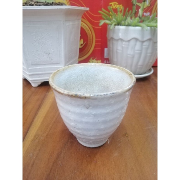 Chung uống trà sứ Nhật.
