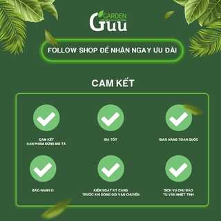 Phân tan chậm tốt nhất dành cho sen đá