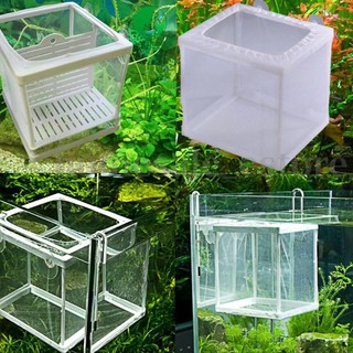 Lồng Ấp Trứng Cá 2 Tầng Linh Hoạt