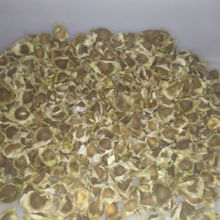 Hạt chùm ngây
