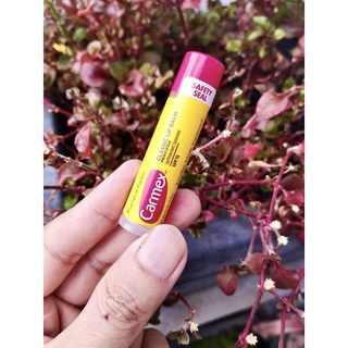 Son dưỡng ẩm carmex spf 15 của mỹ