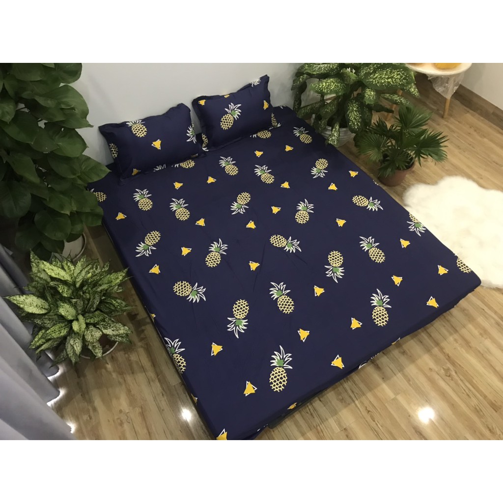 Bộ ga chun +2 vỏ gối poly cotton Emmidecor - mẫu dứa xanh