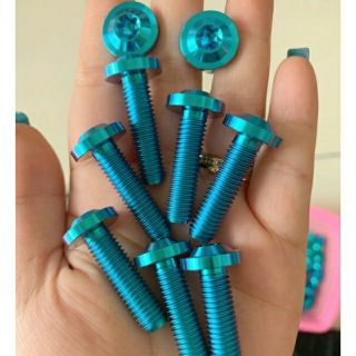 Ốc titanium gr5 8li30 gắn ty phuột satria, msx