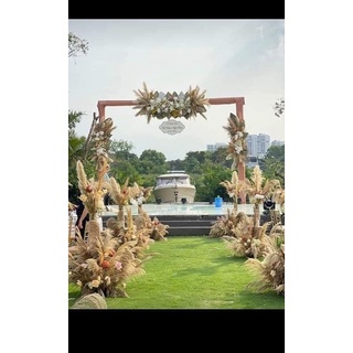 Bông cỏ lau xù decor
