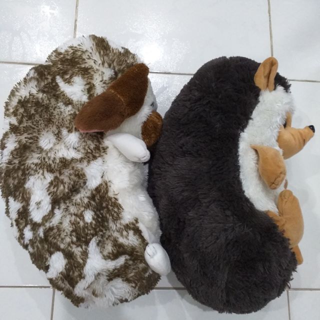 Gấu bông nhím pé