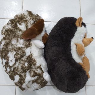 Gấu bông nhím pé