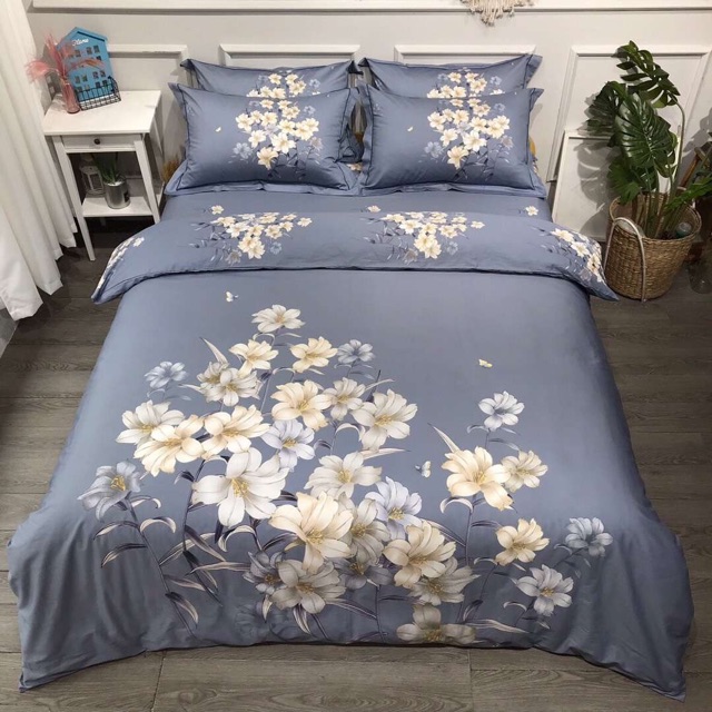 BỘ chăn ga gối 100% cotton 60s