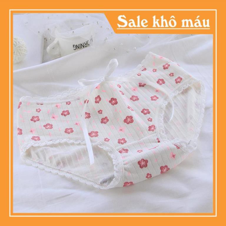 [FreeShip – Sale khô máu] SIZE XL 70KG - Quần lót nữ, quần lót cotton siêu co giãn hoa anh đào 5 hoạt tiết QC125