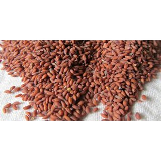 Ngũ hoa hạt Greenlab - 50g - Nguyên liệu mỹ phẩm