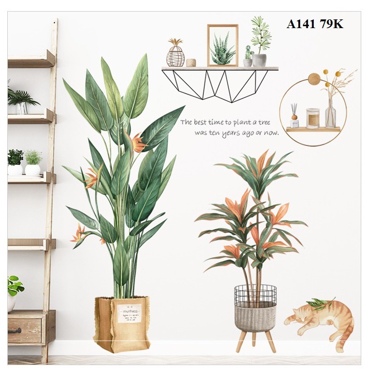 Decal dán tường chậu cây A54 - Decal dán tường Hàn Quốc