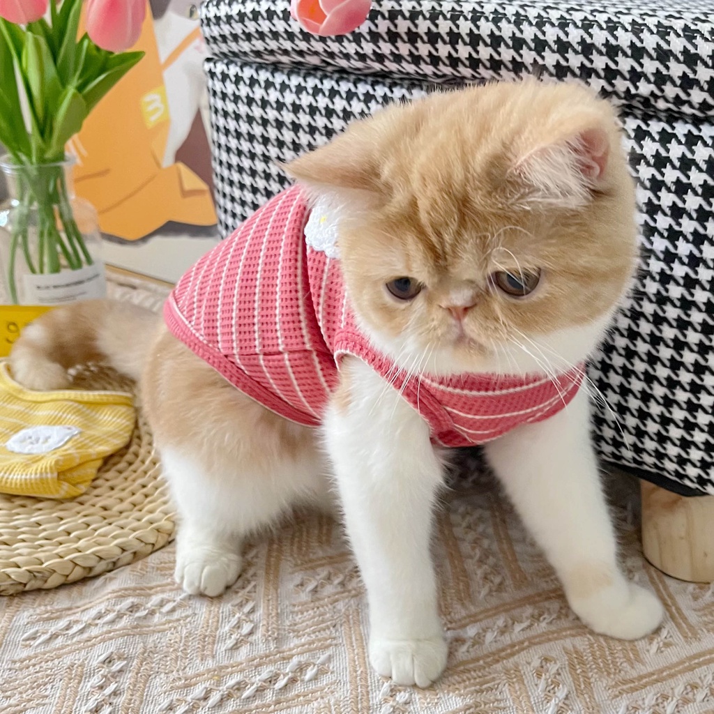Áo ba lỗ HIPIDOG dáng mỏng thoáng khí họa tiết kẻ sọc xinh xắn dành cho cún cưng và mèo cưng