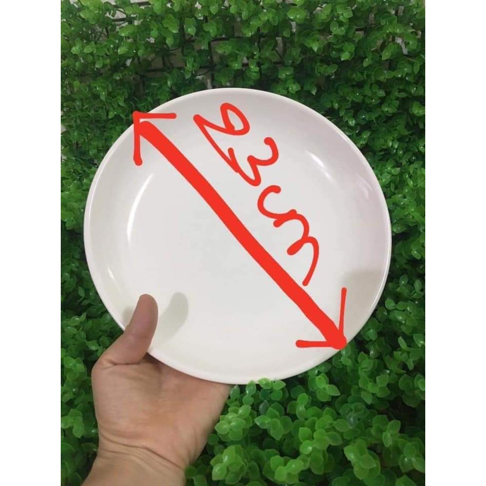 đĩa sứ màu trắng vuông 21cm