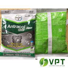 Trị nấm bệnh cho cây trồng Antracol 70wp - gói 100g